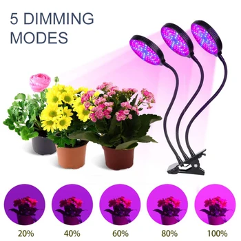 Светодиодный светильник для выращивания растений полного спектра USB-фитолампа Фитолампа с управлением Фитолампа для рассады растений Цветочный дом Палатка Освещение роста